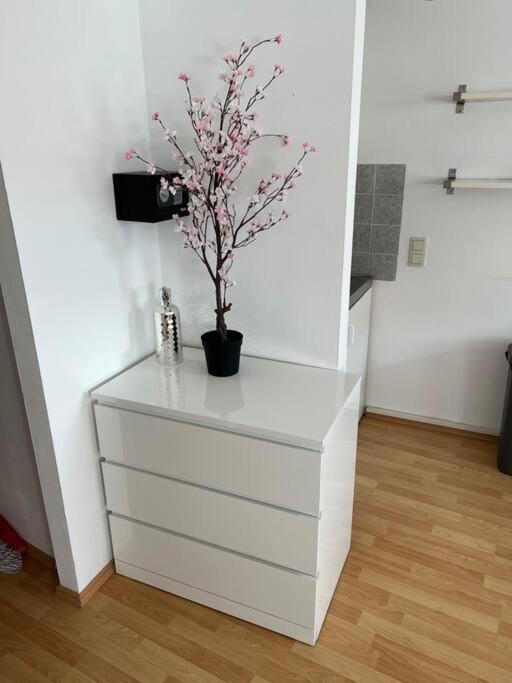 Kleines Apartment Im Zentrum Von Wuerzburg Экстерьер фото
